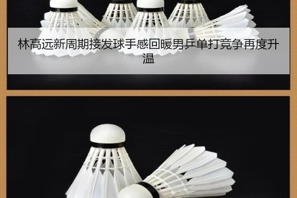 林高远新周期接发球手感回暖男乒单打竞争再度升温 | mksports